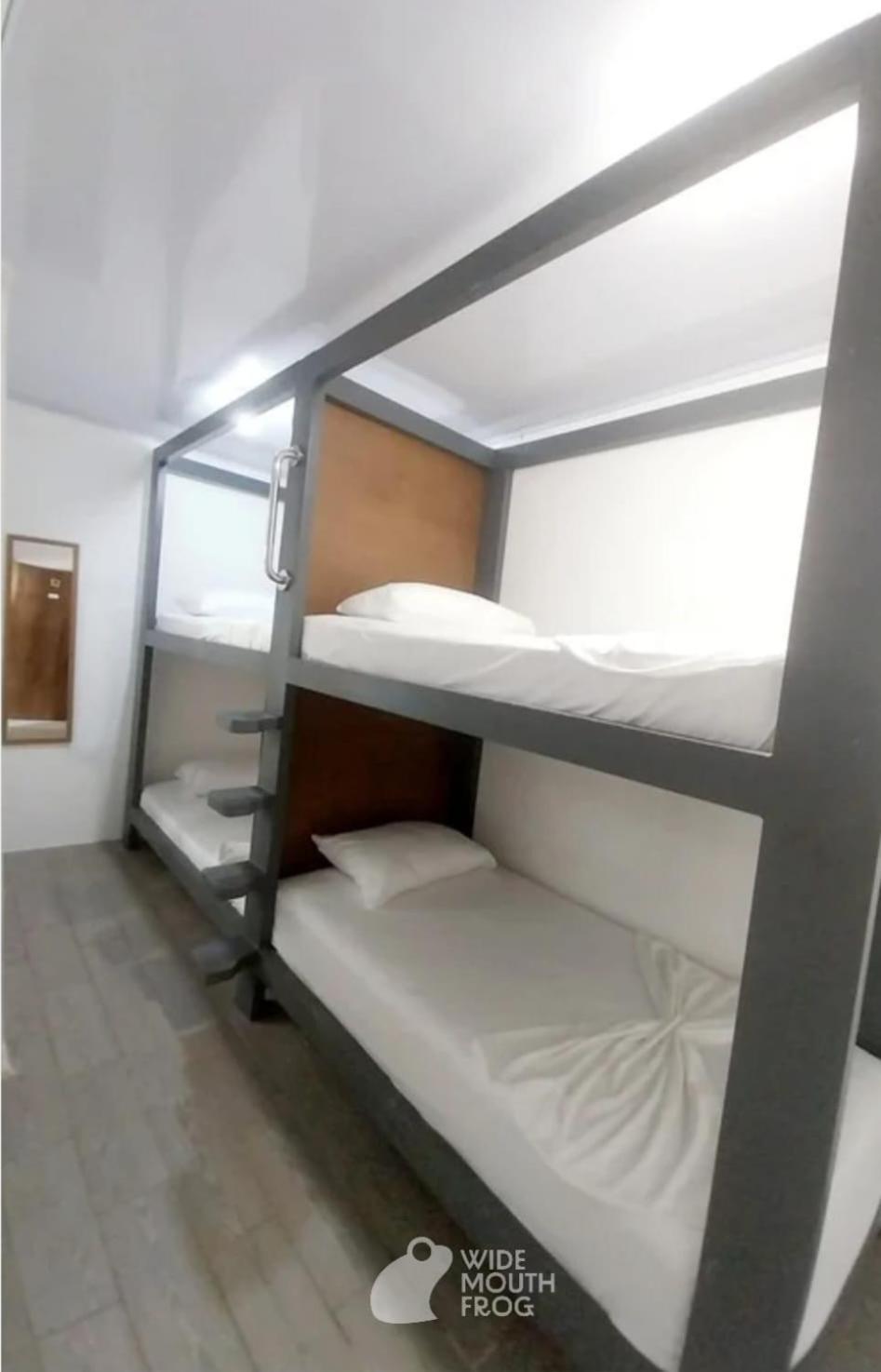 Albergue Wide Mouth Frog Quepos Manuel Antonio Exterior foto