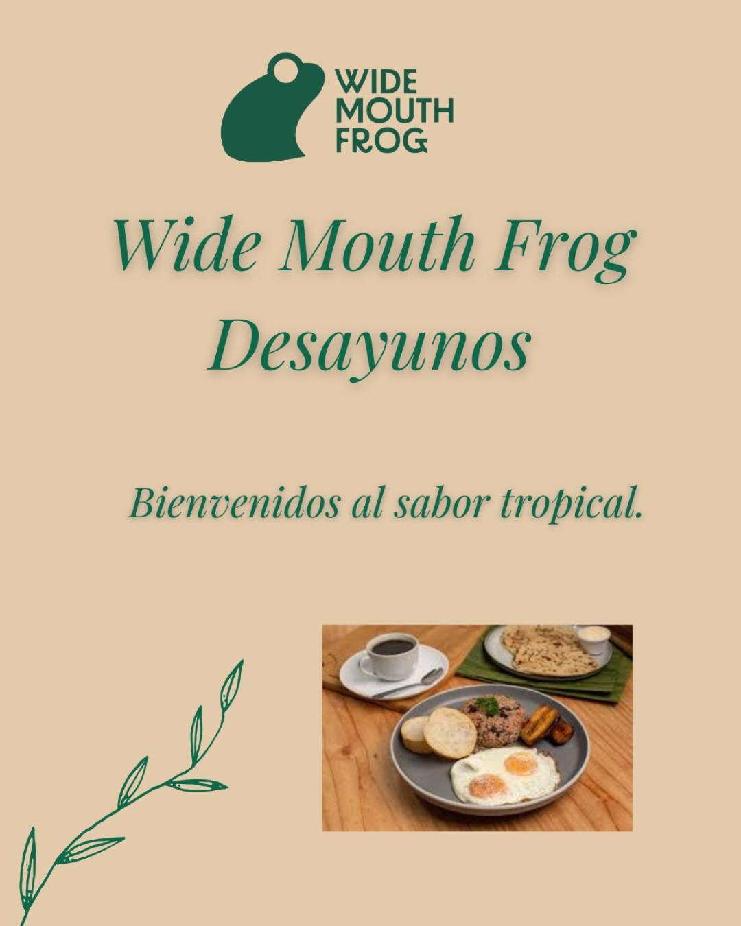 Albergue Wide Mouth Frog Quepos Manuel Antonio Exterior foto