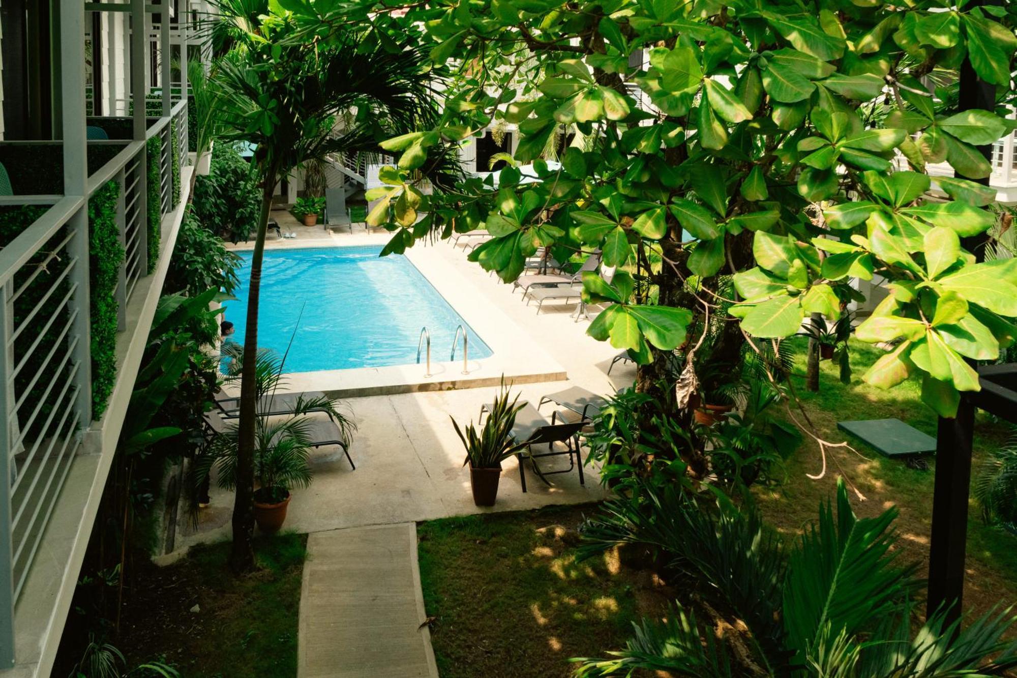 Albergue Wide Mouth Frog Quepos Manuel Antonio Exterior foto